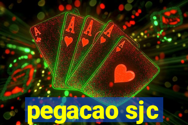 pegacao sjc